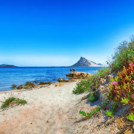 Apartment Bilo Danilo Few Minutes From Sea - Happy